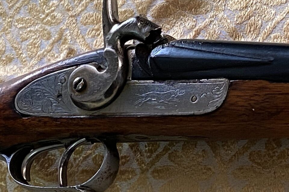 Satılık YİVSİZ TÜFEK – 20 Kalibre – Manisa – İlan 7294 – Görsel 7295