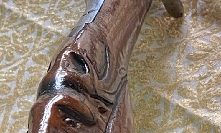 Satılık YİVSİZ TÜFEK – 20 Kalibre – Manisa – İlan 7294 – Görsel 7296