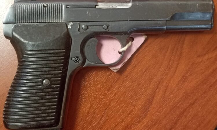 Satılık TABANCA – FEG Firebird Tokagypt – 9mm (9x19mm) – Bulundurma Ruhsatlı – Adana – İlan 10650 – Görsel 10652