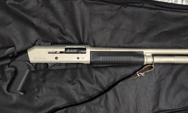 Satılık YİVSİZ TÜFEK – Aselkon S4 – 12 Kalibre – Erzincan – İlan 10731 – Görsel 10732