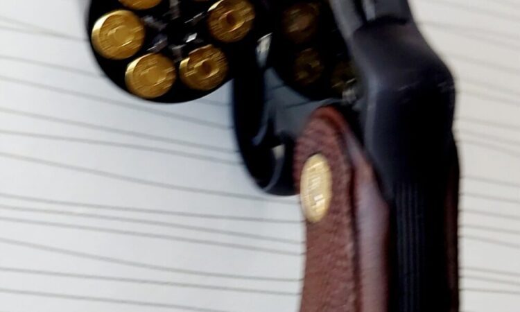 Satılık TABANCA – Colt Python – 357 Magnum – Taşıma Ruhsatlı – Balıkesir – İlan 13240 – Görsel 13243