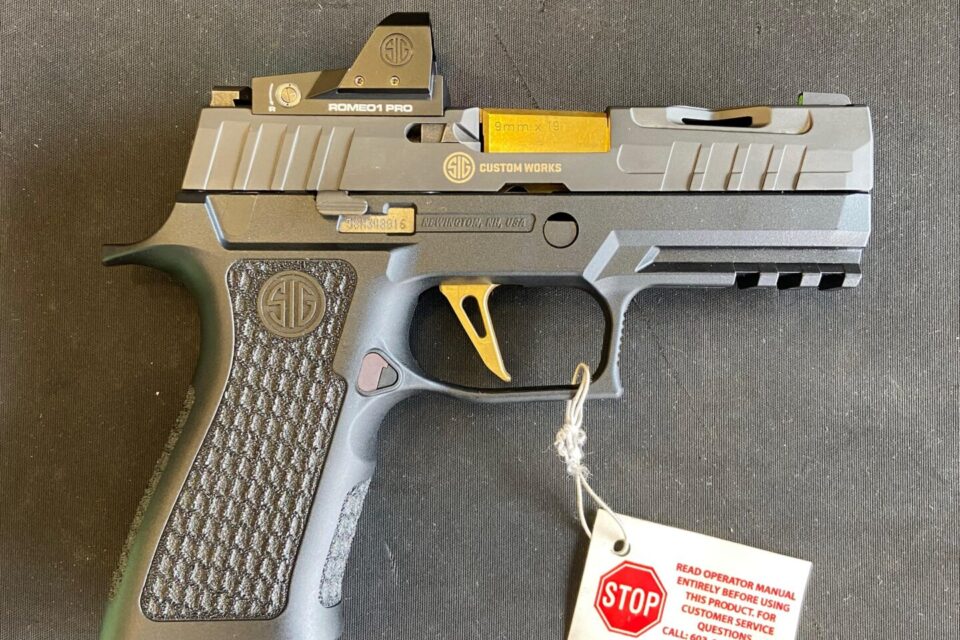 Satılık TABANCA – Sig Sauer P320 – 9mm (9x19mm) – Taşıma Ruhsatlı – İzmir – İlan 13169 – Görsel 13171