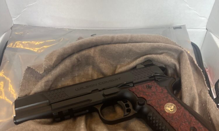 Satılık TABANCA – Wilson Combat EDC X9 2.0 – 9mm (9x19mm) – Taşıma Ruhsatlı – Ankara – İlan 13931 – Görsel 13933