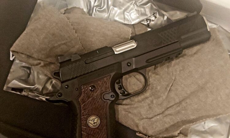 Satılık TABANCA – Wilson Combat EDC X9 2.0 – 9mm (9x19mm) – Taşıma Ruhsatlı – Muş – İlan 14344 – Görsel 14346