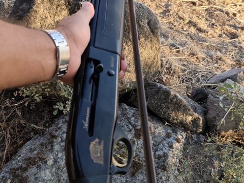 Satılık YİVSİZ TÜFEK – Armsan A612 – 12 Kalibre – Balıkesir – İlan 14088 – Görsel 14089