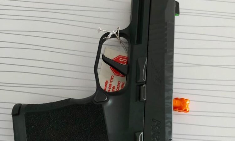 Satılık TABANCA – Sig Sauer P365 – 9mm (9x19mm) – Taşıma Ruhsatlı – Ankara – İlan 14243 – Görsel 14248