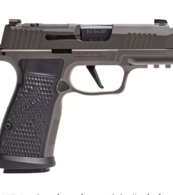 Satılık TABANCA – Sig Sauer P365 – 9mm (9x19mm) – Taşıma Ruhsatlı – Ankara – İlan 14361 – Görsel 14363