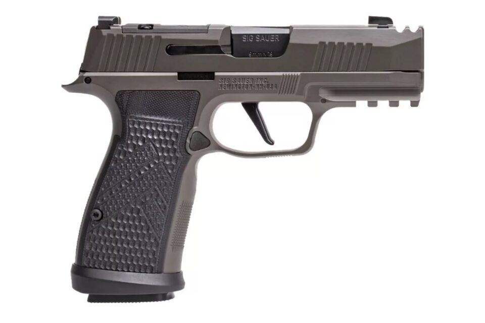 Satılık TABANCA – Sig Sauer P365 – 9mm (9x19mm) – Taşıma Ruhsatlı – Ankara – İlan 14361 – Görsel 14363