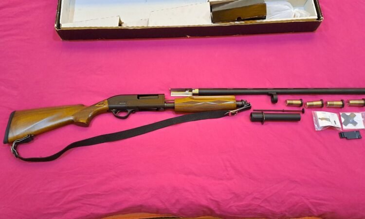 Satılık YİVSİZ TÜFEK – Hatsan Escort WS Hunter – 12 Kalibre – Ankara – İlan 15914 – Görsel 15916