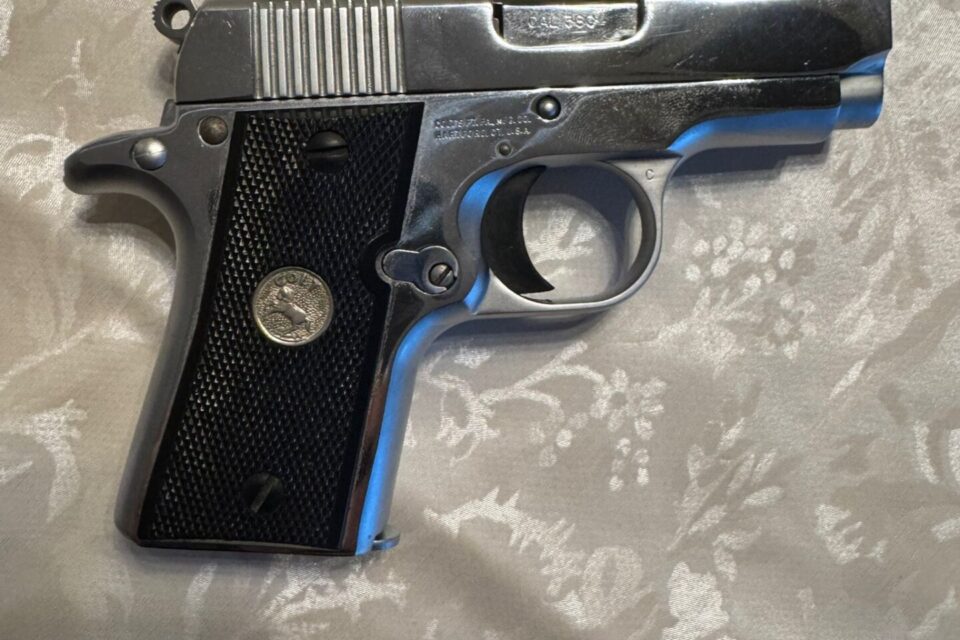 Satılık TABANCA – Colt Mustang – 380 Auto (Kısa 9) – Taşıma Ruhsatlı – Muğla – İlan 16346 – Görsel 16347