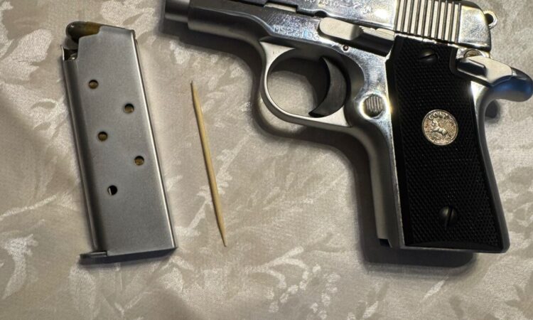 Satılık TABANCA – Colt Mustang – 380 Auto (Kısa 9) – Bulundurma Ruhsatlı – Muğla – İlan 16346 – Görsel 16349