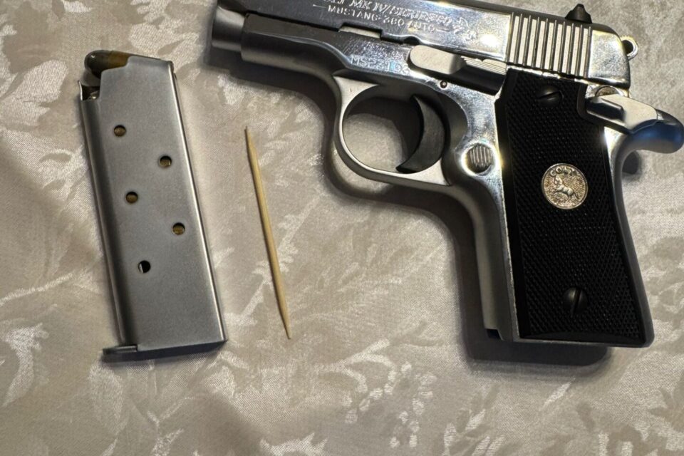 Satılık TABANCA – Colt Mustang – 380 Auto (Kısa 9) – Taşıma Ruhsatlı – Muğla – İlan 16346 – Görsel 16349