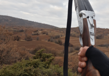 Satılık YİVSİZ TÜFEK – Huğlu 200 – 12 Kalibre – Ankara – İlan 15281 – Görsel 15282