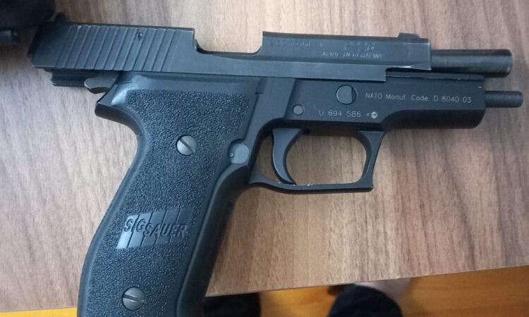 Satılık TABANCA – Sig Sauer P226 – 9mm (9x19mm) – Bulundurma Ruhsatlı – Denizli – İlan 14957 – Görsel 14961