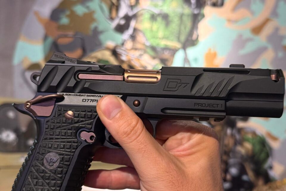 Satılık TABANCA – Wilson Combat Division 77 – 9mm (9x19mm) – Taşıma Ruhsatlı – İzmir – İlan 15558 – Görsel 15559