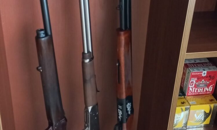 Satılık YİVSİZ TÜFEK – Haniç L11B – 36 Kalibre (.410) – İstanbul – İlan 18749 – Görsel 18750