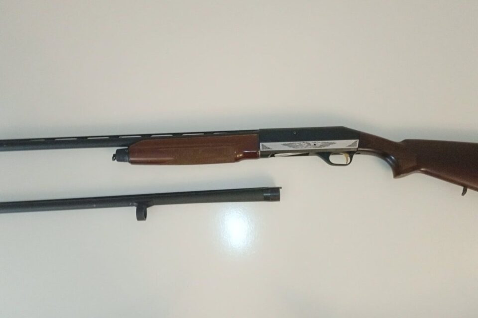 Satılık YİVSİZ TÜFEK – Stoeger M2000 – 12 Kalibre – İstanbul – İlan 18526 – Görsel 18530