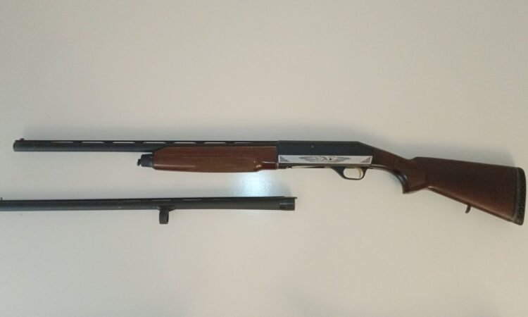 Satılık YİVSİZ TÜFEK – Stoeger M2000 – 12 Kalibre – İstanbul – İlan 18526 – Görsel 18529