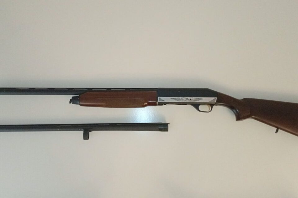 Satılık YİVSİZ TÜFEK – Stoeger M2000 – 12 Kalibre – İstanbul – İlan 18526 – Görsel 18529