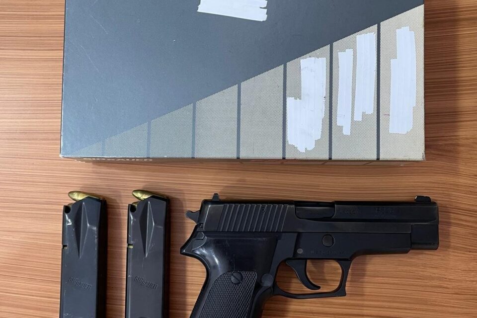 Satılık TABANCA – Sig Sauer P226 – 9mm (9x19mm) – Taşıma Ruhsatlı – İstanbul – İlan 18041 – Görsel 18042