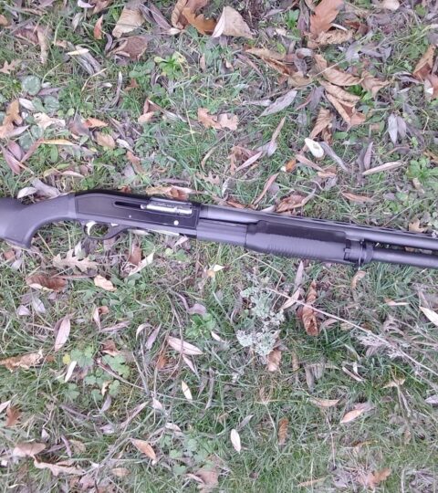 Satılık YİVSİZ TÜFEK – Vursan 95-A – 12 Kalibre – Amasya – İlan 19040 – Görsel 19042