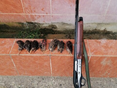 Satılık YİVSİZ TÜFEK – Akdaş Hybrid AH-212 – 12 Kalibre – Zonguldak – İlan 17582 – Görsel 17584