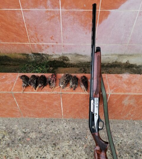 Satılık YİVSİZ TÜFEK – Akdaş Hybrid AH-212 – 12 Kalibre – Zonguldak – İlan 17582 – Görsel 17584