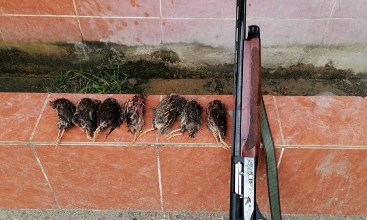 Satılık YİVSİZ TÜFEK – Akdaş Hybrid AH-212 – 12 Kalibre – Zonguldak – İlan 17582 – Görsel 17584