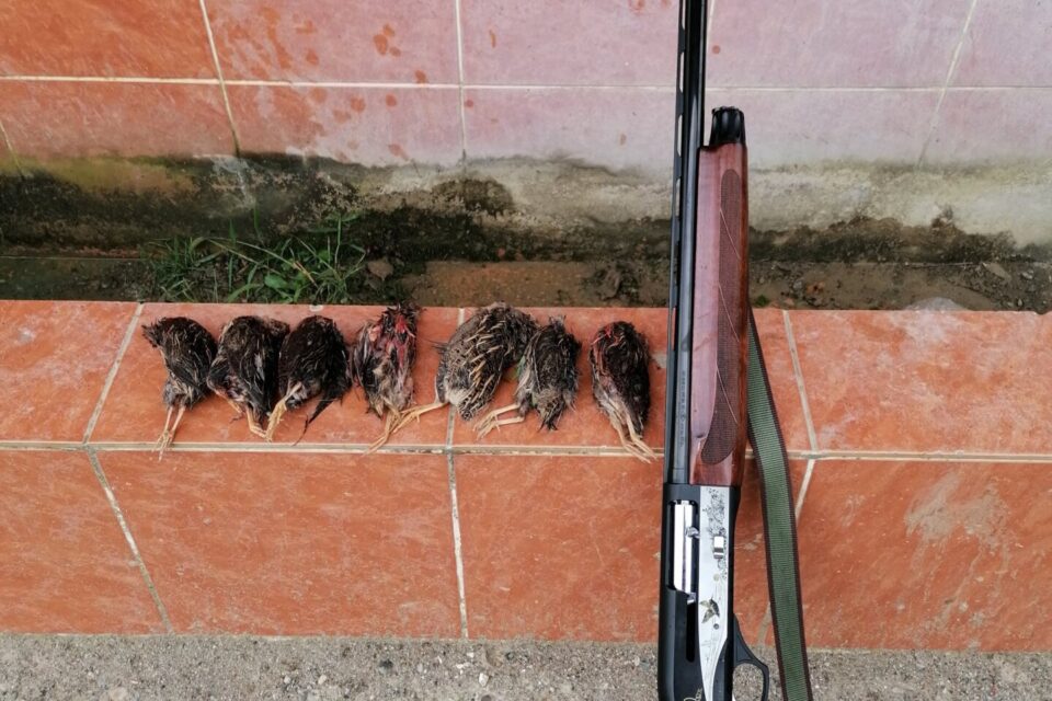 Satılık YİVSİZ TÜFEK – Akdaş Hybrid AH-212 – 12 Kalibre – Zonguldak – İlan 17582 – Görsel 17584