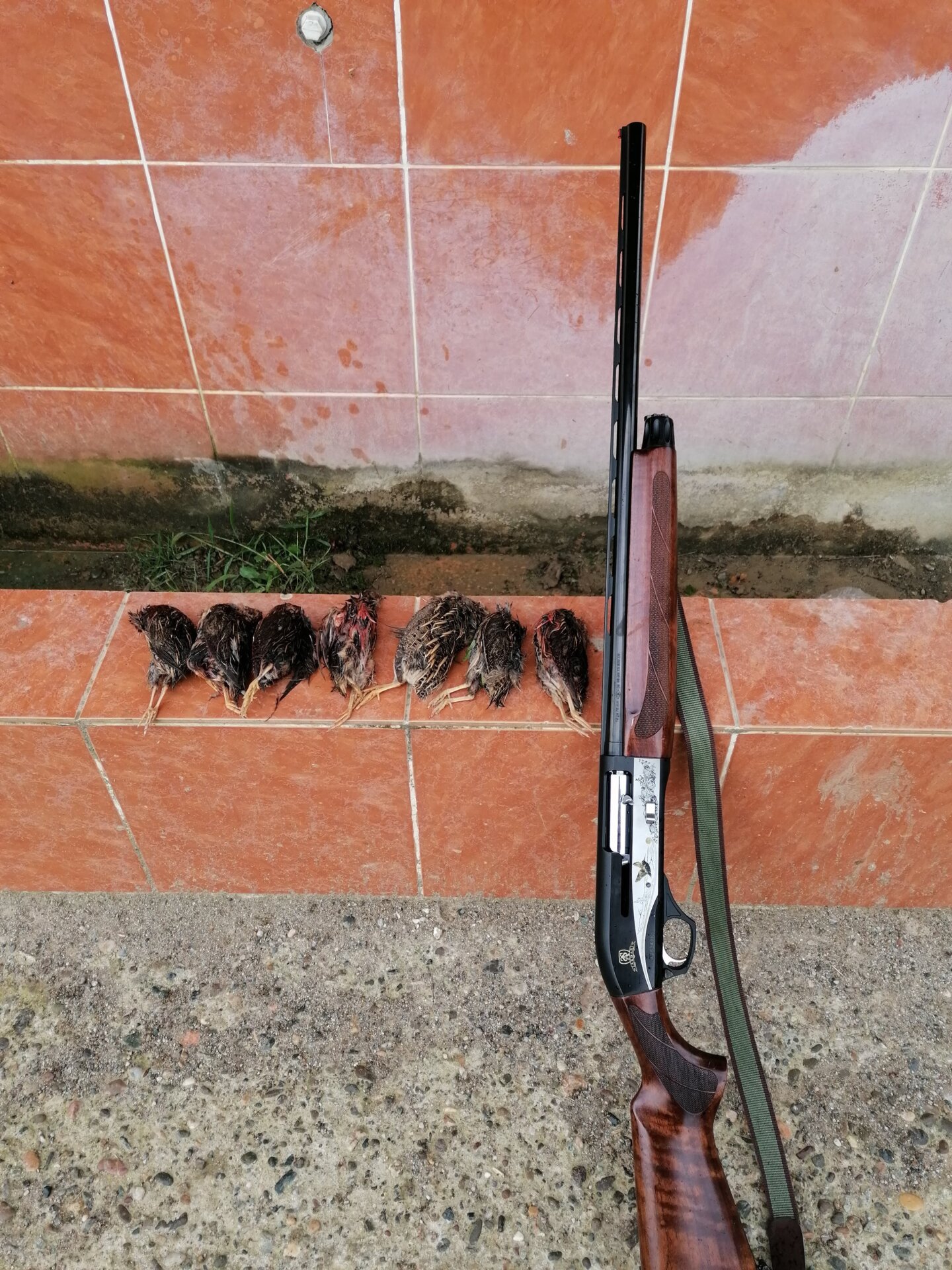 Satılık YİVSİZ TÜFEK – Akdaş Hybrid AH-212 – 12 Kalibre – Zonguldak – İlan 17582 – Görsel 17584