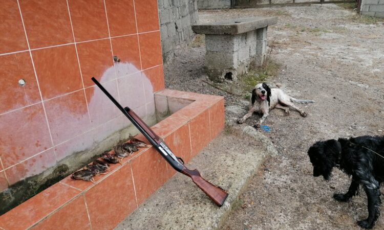 Satılık YİVSİZ TÜFEK – Akdaş Hybrid AH-212 – 12 Kalibre – Zonguldak – İlan 17582 – Görsel 17583