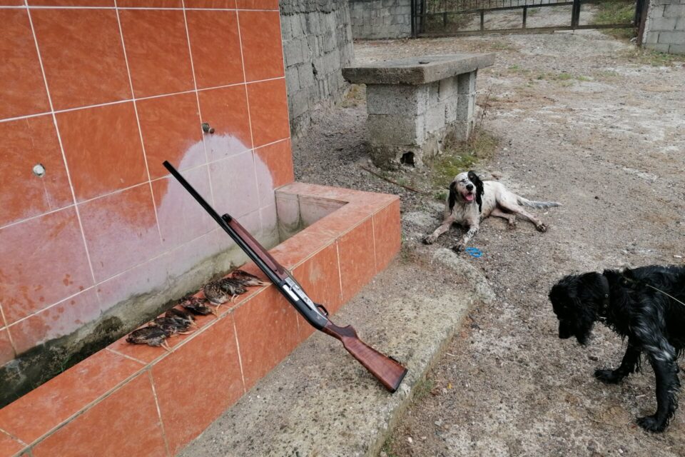 Satılık YİVSİZ TÜFEK – Akdaş Hybrid AH-212 – 12 Kalibre – Zonguldak – İlan 17582 – Görsel 17583