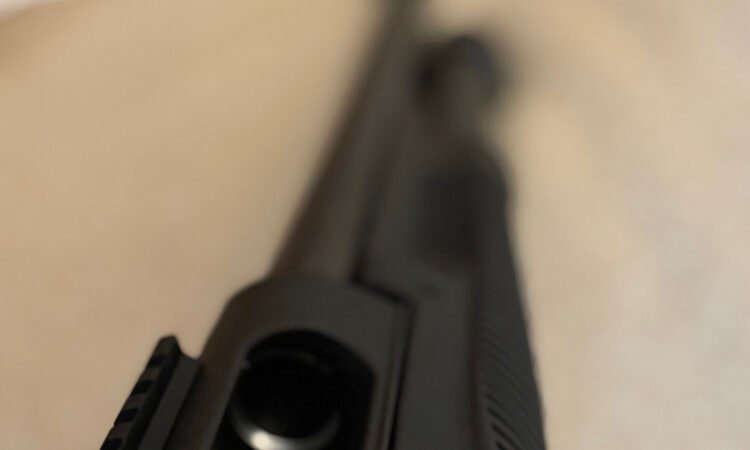 Satılık YİVSİZ TÜFEK – Benelli Supernova – 12 Kalibre – İstanbul – İlan 16850 – Görsel 16851