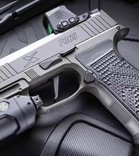 Satılık TABANCA – Sig Sauer P365 – 9mm (9x19mm) – Taşıma Ruhsatlı – İzmir – İlan 17771 – Görsel 17773