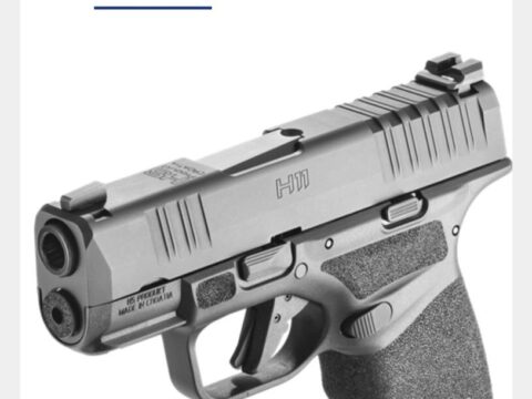 Satılık TABANCA – Springfield Hellcat – 9mm (9x19mm) – Taşıma Ruhsatlı – İstanbul – İlan 17979 – Görsel 17980