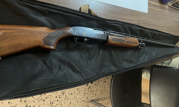 Satılık YİVSİZ TÜFEK – Winchester 1300 – 12 Kalibre – Osmaniye – İlan 17711 – Görsel 17712