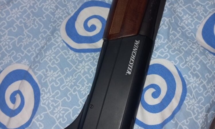 Satılık YİVSİZ TÜFEK – Winchester SX3 – 12 Kalibre – Diyarbakır – İlan 17111 – Görsel 17114