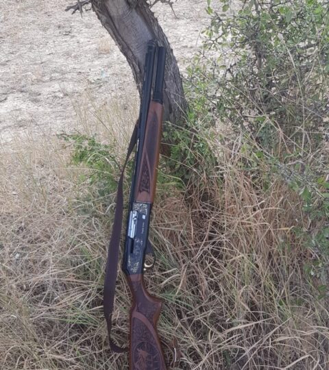 Satılık YİVSİZ TÜFEK – Pusula Arms Yarı Otomatik – 12 Kalibre – Gaziantep – İlan 17423 – Görsel 17426