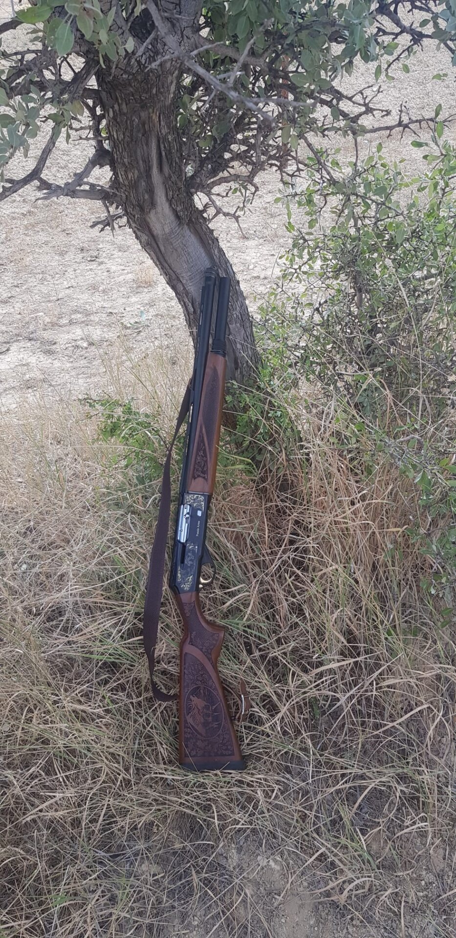 Satılık YİVSİZ TÜFEK – Pusula Arms Yarı Otomatik – 12 Kalibre – Gaziantep – İlan 17423 – Görsel 17426