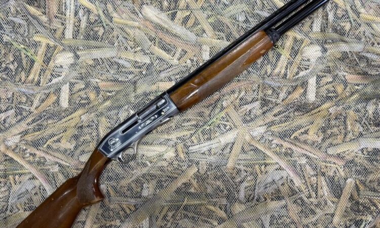 Satılık YİVSİZ TÜFEK – Prenses Yarı OTomatik – 12 Kalibre – Antalya – İlan 21187 – Görsel 21188