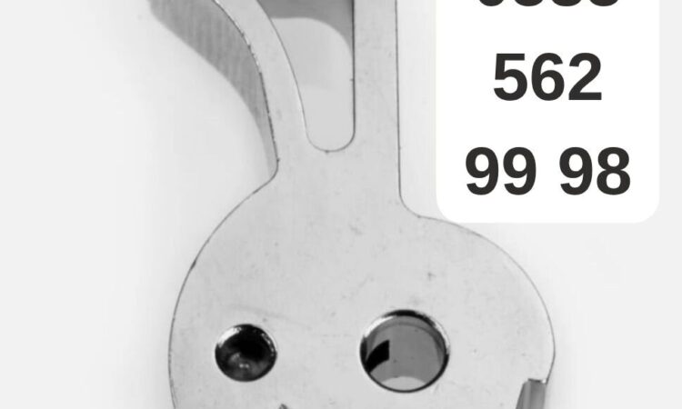 Satılık ÜRÜN – İstanbul – İlan 20802 – Görsel 20804