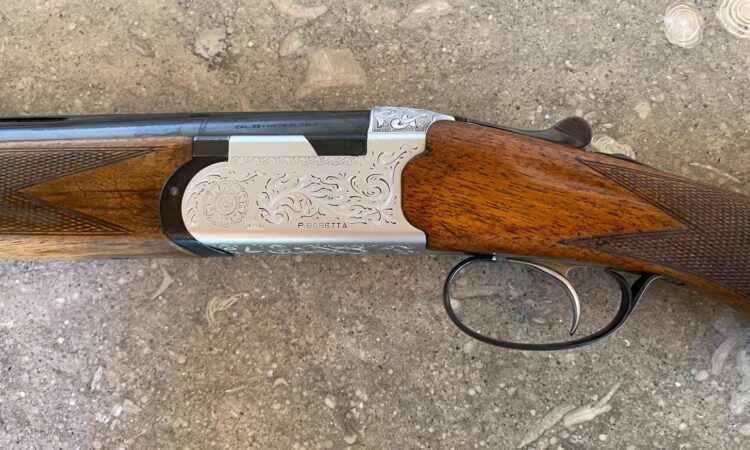 Satılık YİVSİZ TÜFEK – Beretta S56 – 20 Kalibre – Denizli – İlan 22424 – Görsel 22425