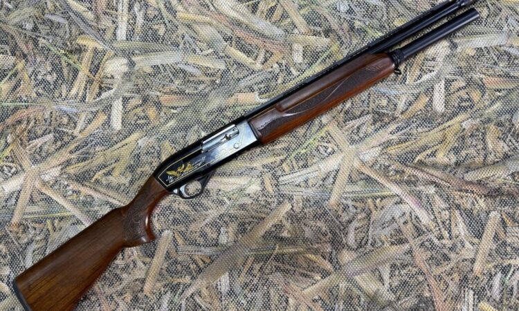 Satılık YİVSİZ TÜFEK – Aries Wizard – 12 Kalibre – Antalya – İlan 21197 – Görsel 21198