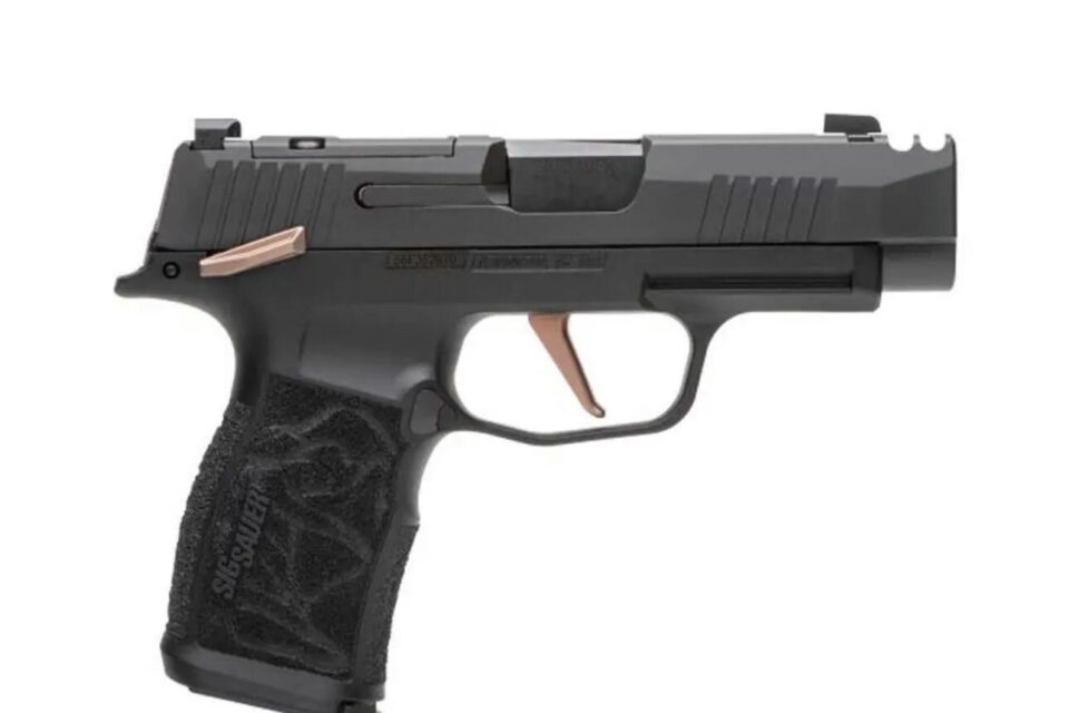 Satılık TABANCA – Sig Sauer P365 – 9mm (9x19mm) – Taşıma Ruhsatlı – Adana – İlan 20482 – Görsel 20483