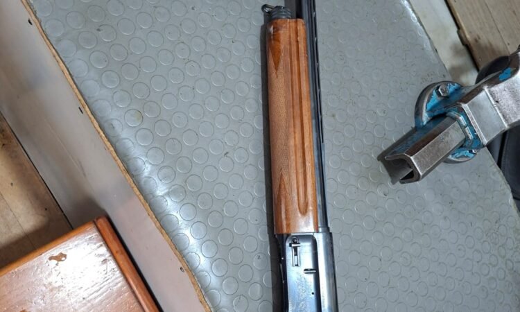 Satılık YİVSİZ TÜFEK – Browning A5 – 12 Kalibre – Samsun – İlan 19517 – Görsel 19520