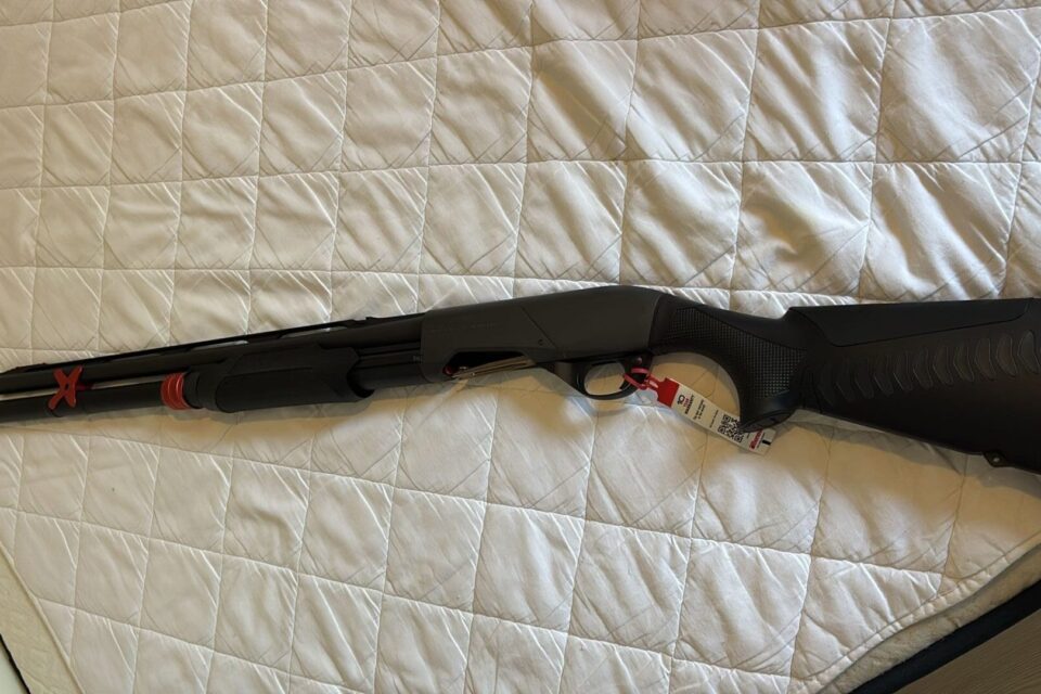 Satılık YİVSİZ TÜFEK – Benelli Nova – 12 Kalibre – İstanbul – İlan 22487 – Görsel 22489