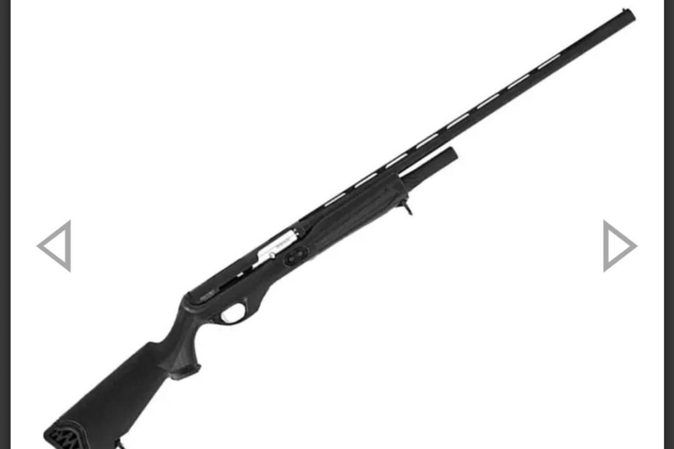 Satılık YİVSİZ TÜFEK – Hatsan Escort Dynamic – 12 Kalibre – Kocaeli – İlan 22826 – Görsel 22827