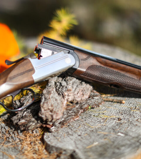 Satılık YİVSİZ TÜFEK – Franchi Feeling – 12 Kalibre – İstanbul – İlan 20872 – Görsel 20877