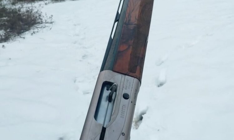 Satılık YİVSİZ TÜFEK – Beretta AL391 – 12 Kalibre – Bartın – İlan 19872 – Görsel 19875