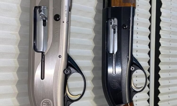 Satılık YİVSİZ TÜFEK – Beretta AL391 – 12 Kalibre – Bartın – İlan 19872 – Görsel 19876